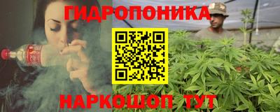 крисы Дмитров