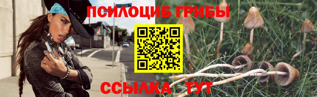 Псилоцибиновые грибы Psilocybine cubensis  Вход с VPN  Галлюциногенные грибы прущие грибы  Дедовск 